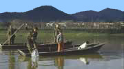 pesca lampreia